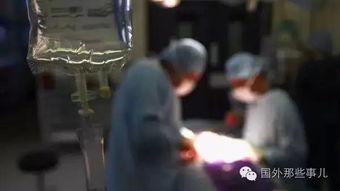 日屁日屁视频在线,趣味横生的网络现象深度解析