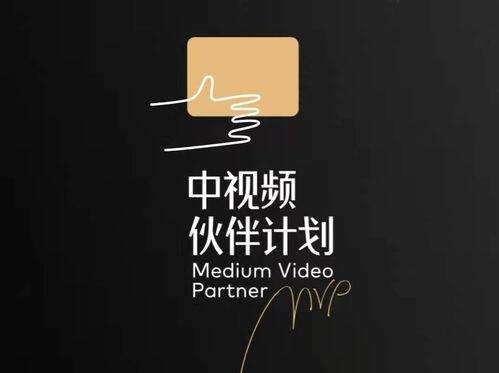 头条视频分成,如何轻松实现收益最大化